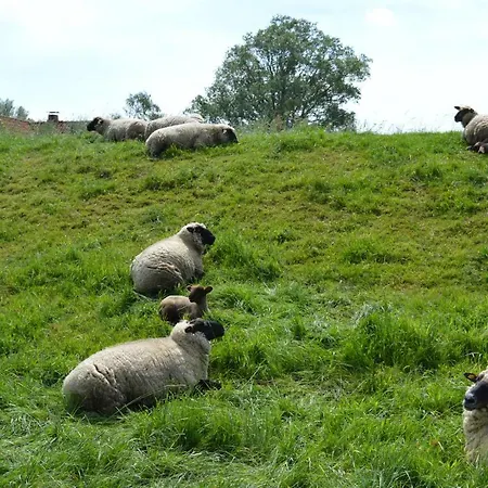 Osteland Apartment *