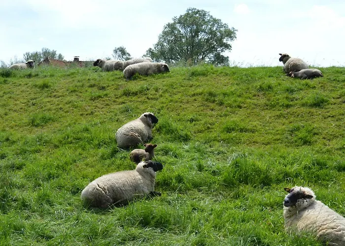 Osteland Διαμέρισμα *