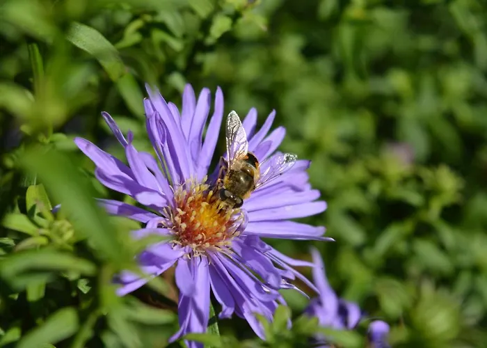 Osteland Διαμέρισμα